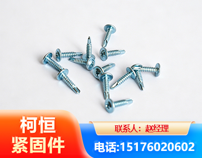 厦门华司钻尾丝