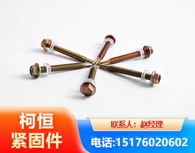 厦门六角钻尾丝
