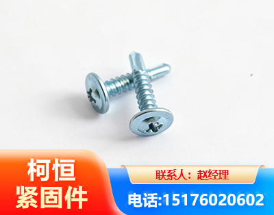厦门华司钻尾丝